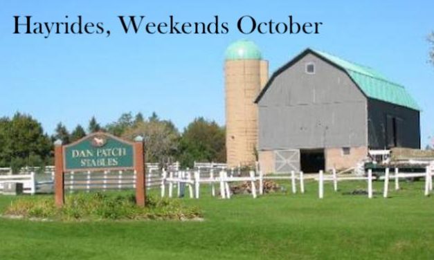 Surprising Stuff, September 26, 2018