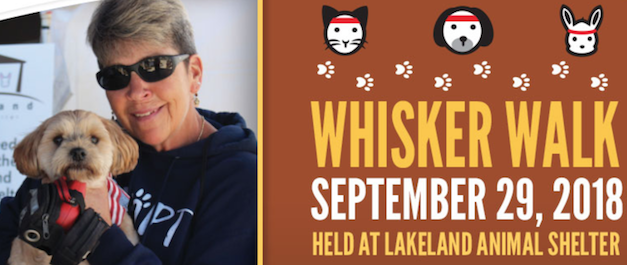 The Bright Side, September 26, 2018