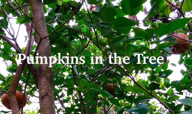 Living Here, October 17, 2018