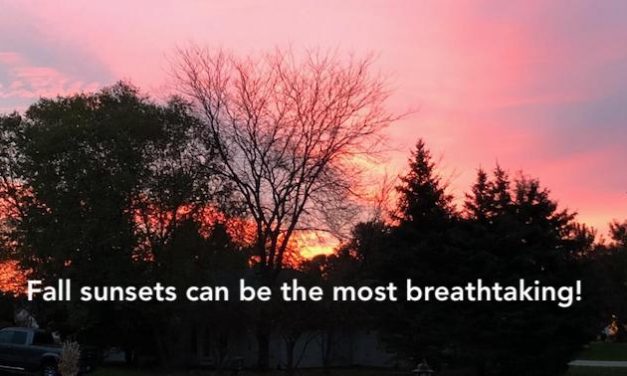 The Bright Side, October 31, 2018