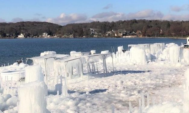 Our Place, March 13, 2019