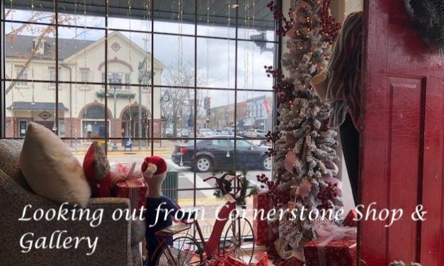 The Bright Side, November 7, 2018