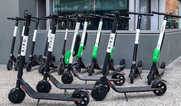 Living Here, November 14, 2018