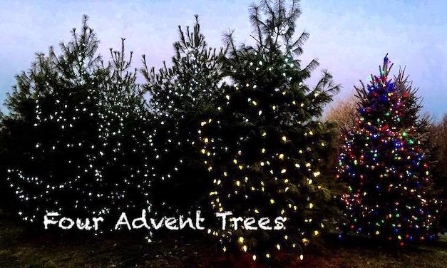 Living Here December 26, 2018