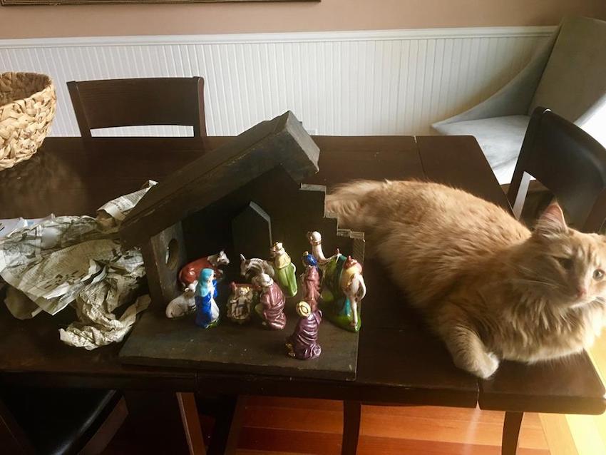 Manger, James Strauss