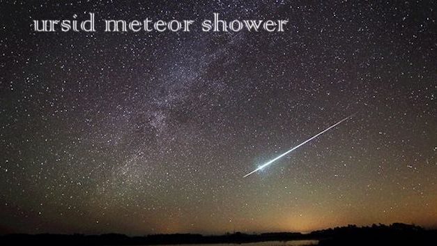 Little Gems, December 19, 2018