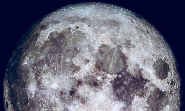 Our Place, December 19, 2018