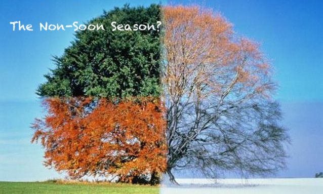 The Bright Side, January 16, 2019