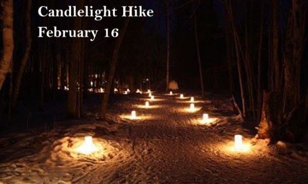 Little Gems, February 13, 2019