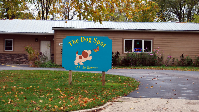 Our Place, February 6, 2019