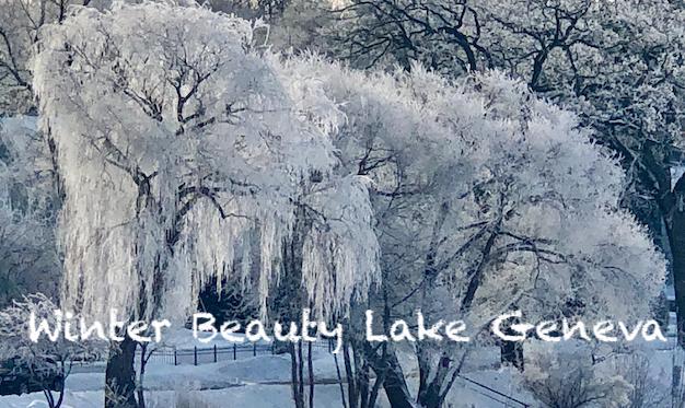 Surprising Stuff, February 20, 2019