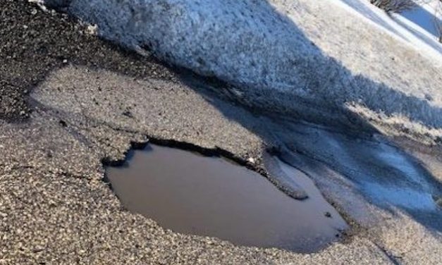 Surprising Stuff, February 27, 2019