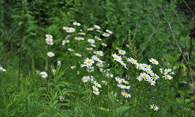 Our Place, March 20, 2019