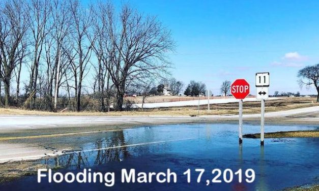 The Bright Side, March 20, 2019