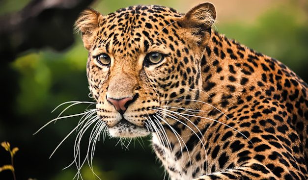 Surprising Stuff, April 3, 2019