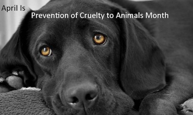 Little Gems, April 10, 2019