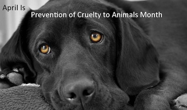 Little Gems, April 10, 2019