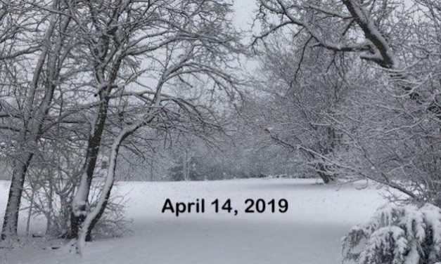 Surprising Stuff, April 17, 2019