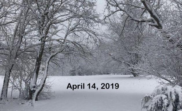 Surprising Stuff, April 17, 2019