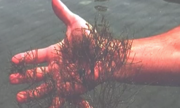 Front Page, April 10, 2019