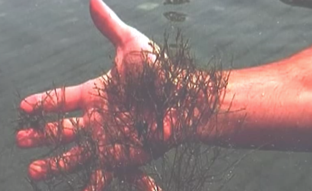 Front Page, April 10, 2019