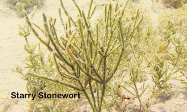 Our Place, April 3, 2019