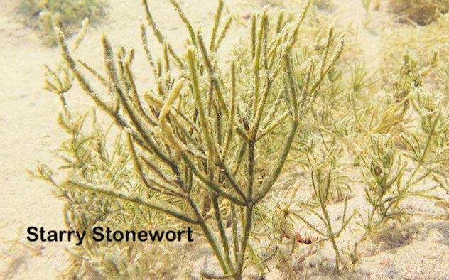 Our Place, April 3, 2019