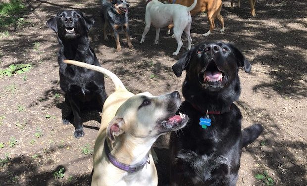 Our Place, June 26, 2019