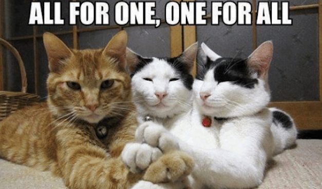 Opinion/Editorial, August 14, 2019