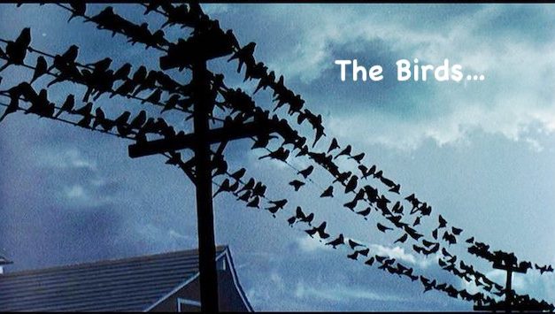 Surprising Stuff, September 11, 2019