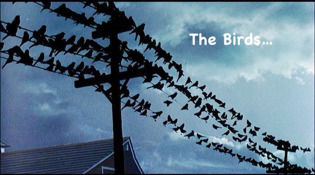 Surprising Stuff, September 11, 2019