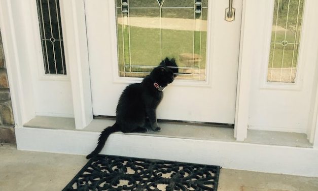 Opinion/Editorial, October 9, 2019