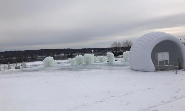 Surprising Stuff, January 29, 2020