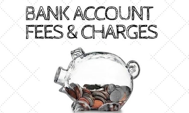 Surprising Stuff, November 27, 2019