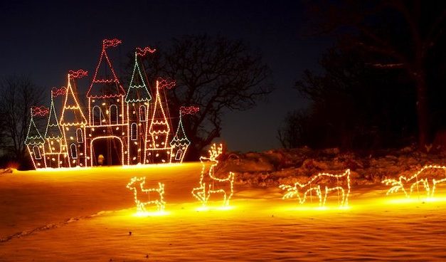 The Bright Side, November 20, 2019