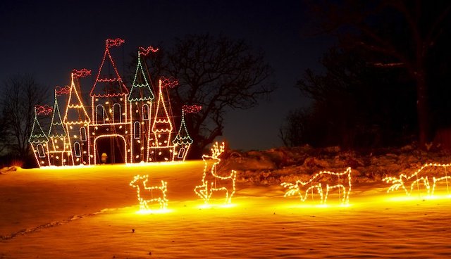 The Bright Side, November 20, 2019