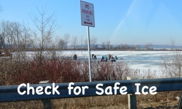 Living Here, December 26, 2019