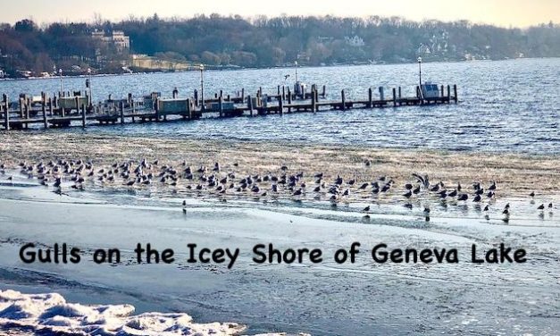 The Bright Side, December 26, 2019