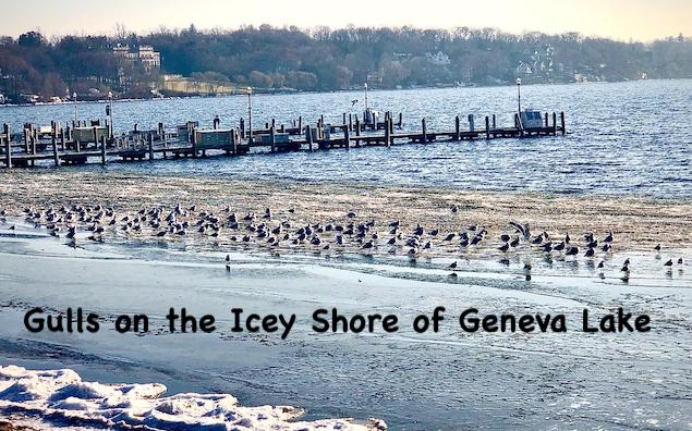 The Bright Side, December 26, 2019