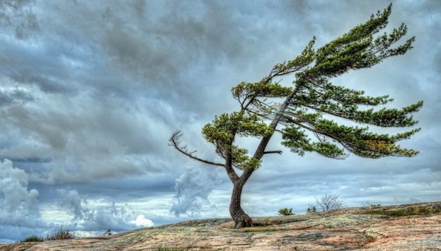 Opinion/Editorial, December 11, 2019