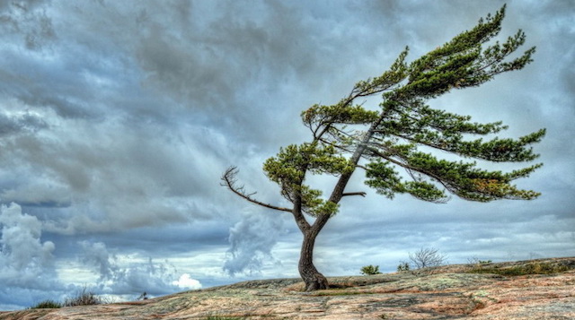 Opinion/Editorial, December 11, 2019