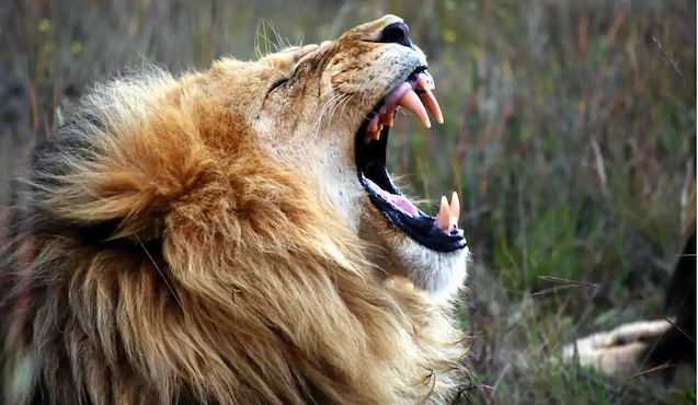 Opinion/Editorial, January 15, 2020