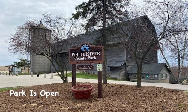 Little Gems, April 15, 2020