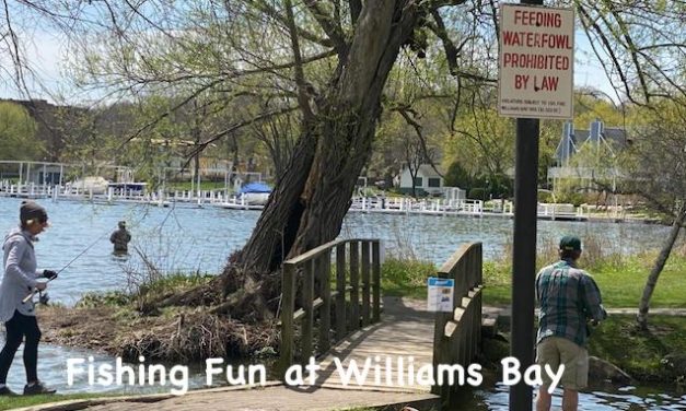 Little Gems, May 6, 2020