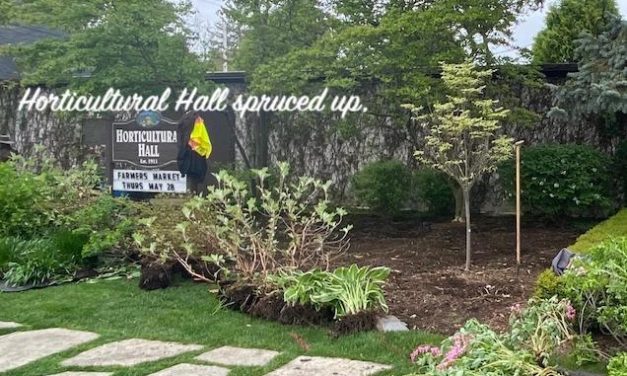 Little Gems, May 27, 2020