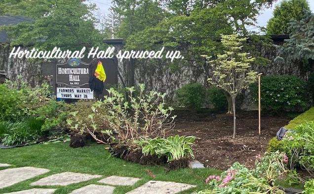 Little Gems, May 27, 2020