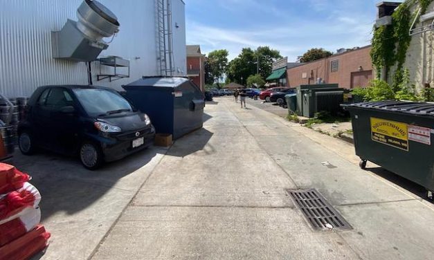 Little Gems, June 17, 2020