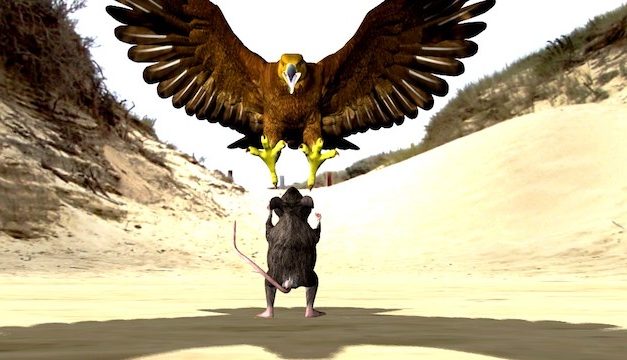 Opinion/Editorial, June 17, 2020