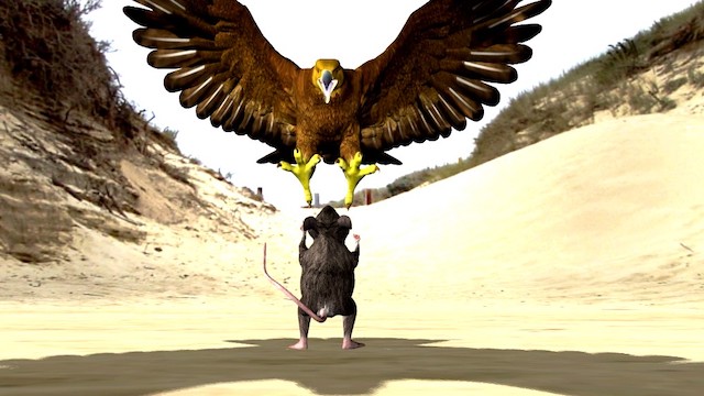 Opinion/Editorial, June 17, 2020