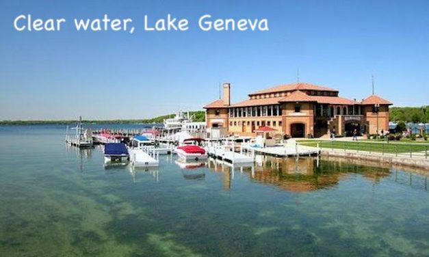 Surprising Stuff, July 1, 2020